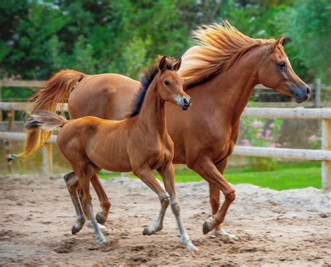 Riding like the wind